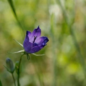 Meet your Posher, Annalisa